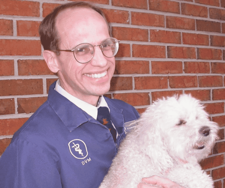 Pet Exams in MO Veterinary Clinic