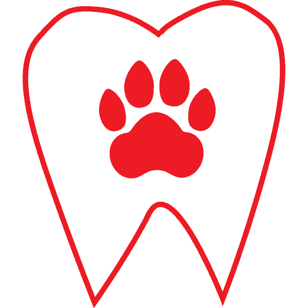 Pet Exams in MO Veterinary Clinic