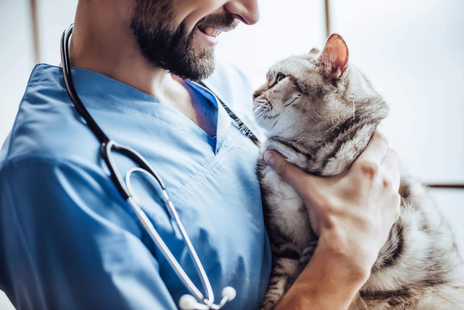 Veterinary Services in MO Veterinary Clinic